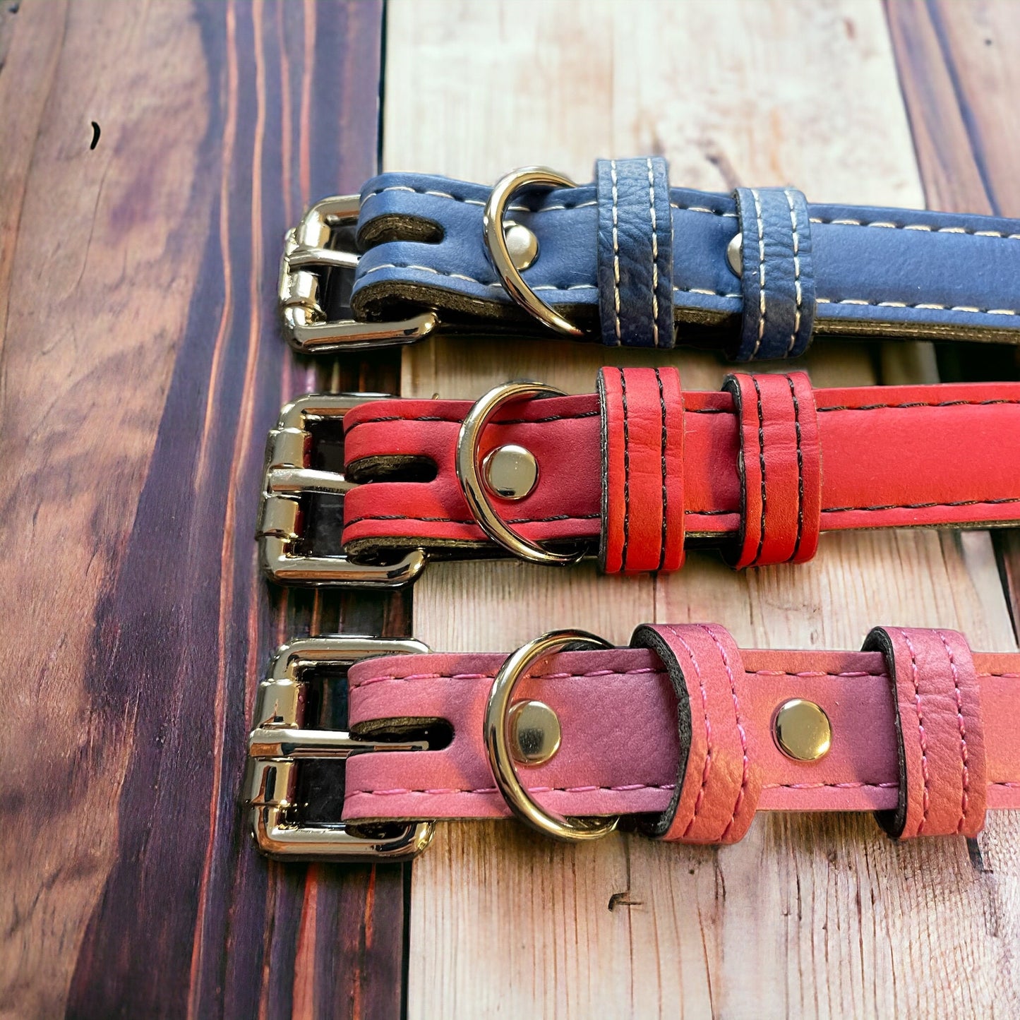 Dog Collars close up of buckles