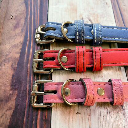 Dog Collars close up of buckles